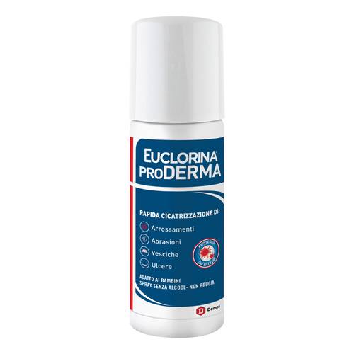 DOMPE' FARMACEUTICI SpA       EUCLORINA PRODERMA SPRAY 125ML