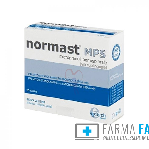 EPITECH GROUP SpA      NORMAST MPS MICROGR SUB 20BUST